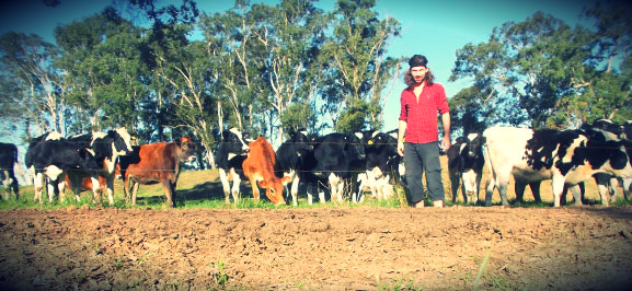 Work and travel in Australien - Farmjob