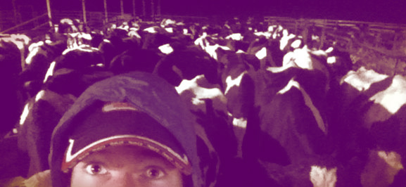 Work and travel in Australien - Farmwork